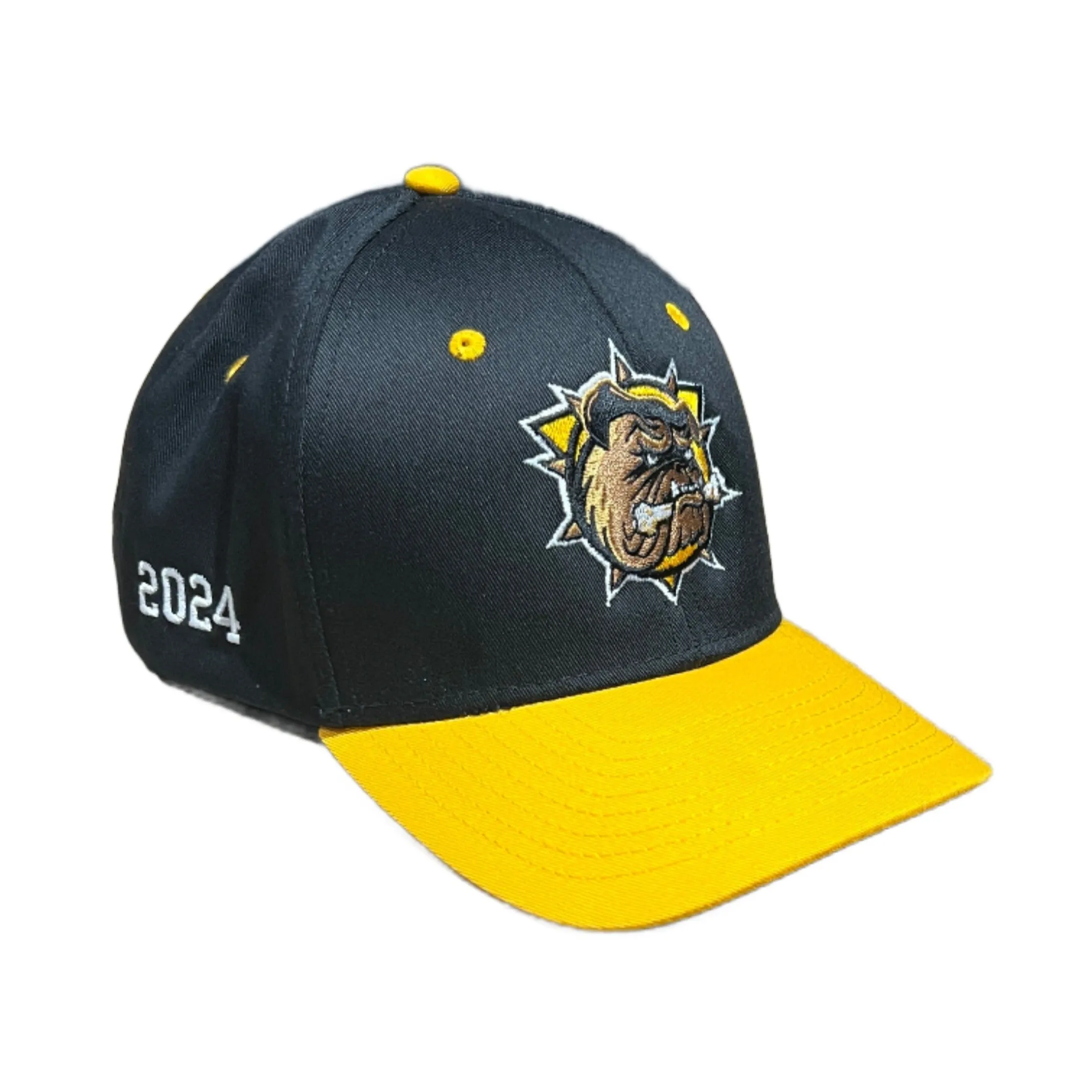 2024 OHL Draft Cap