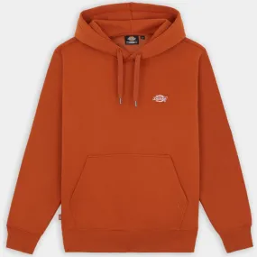 Dickies SUMMERDALE HOODIE MAN BOMBAY BROWN