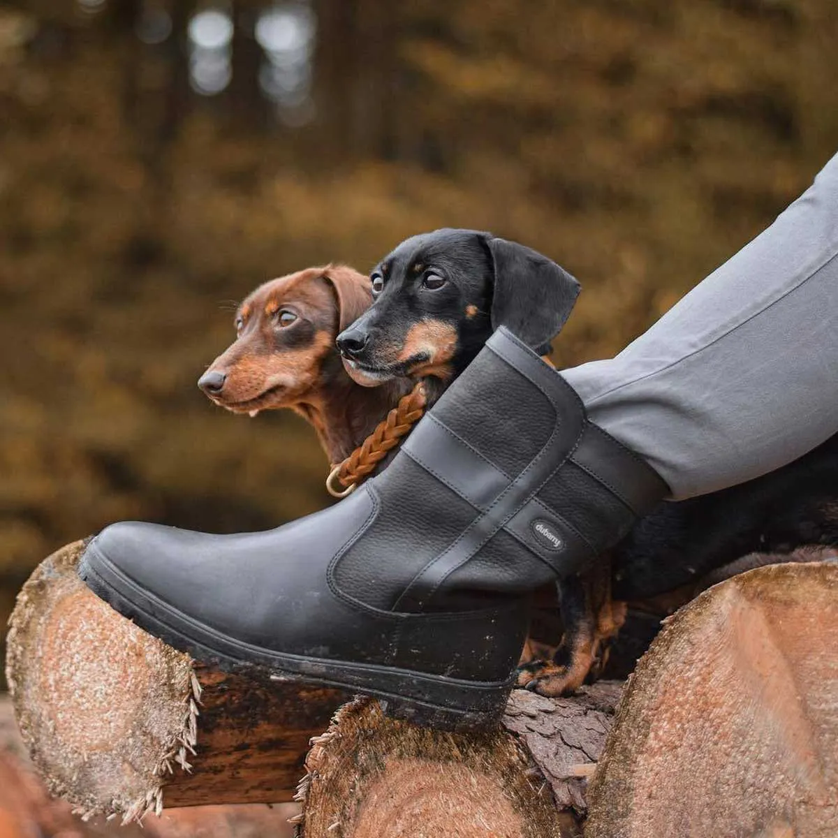 Dubarry Roscommon Boot