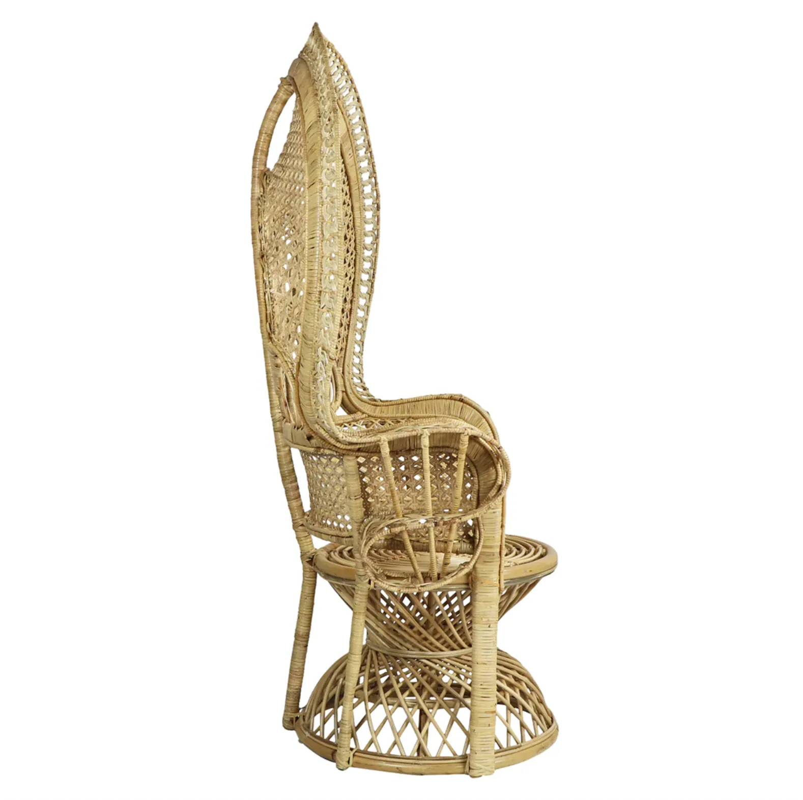 Lollipop Rattan Peacock Lounge Chair - Matthew Izzo Collection