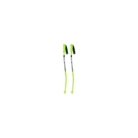 National Team Super G/GS/Downhill Junior Ski Pole - Green