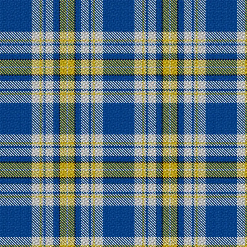 Picnic Blanket (Ukraine Forever Tartan)